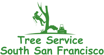 Tree Service South San Francisco Logo