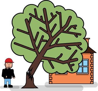 Tree Service South San Francisco